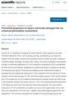 Fermented Grapeseed Oil Repairs Chemically Damaged Hair Via Enhanced Permeability Mechanisms