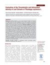 Evaluation of the Thrombolytic and Antioxidant Activity of Leaf Extracts of Plumbago Zeylanica L.