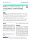 The First Case Report of Kerion-Type Scalp Mycosis Caused by Aspergillus Protuberus