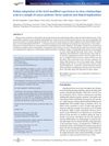 Italian Adaptation of the Brief Modified Experiences in Close Relationships Scale in a Sample of Cancer Patients: Factor Analysis and Clinical Implications