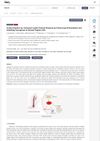 Schizochytrium Sp. Extracted Lipids Prevent Alopecia by Enhancing Antioxidation and Inhibiting Ferroptosis of Dermal Papilla Cells