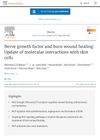 Nerve Growth Factor and Burn Wound Healing: Update of Molecular Interactions With Skin Cells