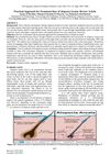 Practical Approach for Treatment Lines of Alopecia Areata: Review Article