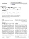 Expression of Sex-Determining Genes in the Scalp of Men with Androgenetic Alopecia