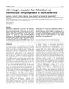 α3β1-Integrin Regulates Hair Follicle But Not Interfollicular Morphogenesis in Adult Epidermis