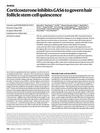 Corticosterone Inhibits GAS6 to Govern Hair Follicle Stem-Cell Quiescence