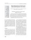 Advanced Hyperandrogenism in a Postmenopausal Woman: Case Report