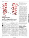 Addressing an Antiferromagnetic Memory