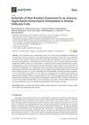 Induction of Hair Keratins Expression by an Annurca Apple-Based Nutraceutical Formulation in Human Follicular Cells