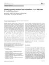 Distinct Expression Profile of Stem Cell Markers, LGR5 and LGR6, in Basaloid Skin Tumors