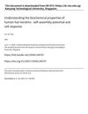 Understanding the Biochemical Properties of Human Hair Keratins: Self-Assembly Potential and Cell Response