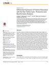 Differential Expression of Proteins Associated with the Hair Follicle Cycle: Proteomics and Bioinformatics Analyses