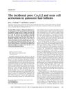 The Incidental Pore: CaV1.2 and Stem Cell Activation in Quiescent Hair Follicles