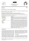 Selamectin Spot-On: A Cure for Scabies in Rabbits