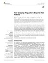 Hair Graying Regulators Beyond Hair Follicle