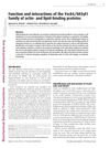 Function and Interactions of the Ysc84/SH3yl1 Family of Actin- and Lipid-Binding Proteins