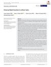 External Lipid Function in Ethnic Hairs