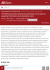 Mechanosensitive Lymphocytes Potentiate Wound Repair by Regulating Inflammation and Extracellular Matrix