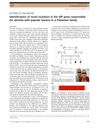 Identification of Novel Mutation in the HR Gene Responsible for Atrichia with Papular Lesions in a Pakistani Family