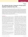 The Androgen Receptor Antagonizes Wnt/β-Catenin Signaling in Epidermal Stem Cells