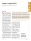Baiting Proteins with C60