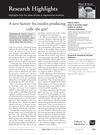 Research Highlights: Latest Articles in Regenerative Medicine