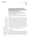 Repurposing Kir6/SUR2 Channel Activator Minoxidil to Arrest Growth of Gynecologic Cancers