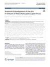 Anatomical Development of the Skin in Fetuses of Red Sokoto Goats (Capra Hircus)