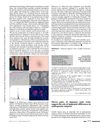 Eleven Pairs of Japanese Male Twins Suggest the Role of Epigenetic Differences in Androgenetic Alopecia