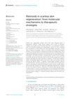 Retinoids in Scarless Skin Regeneration: From Molecular Mechanisms to Therapeutic Strategies