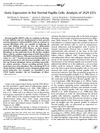 Gene Expression in Rat Dermal Papilla Cells: Analysis of 2529 ESTs