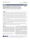 Macrophages Are Necessary for Skin Regeneration During Tissue Expansion