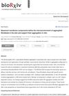 Basement Membrane Components Define the Microenvironment of Aggregated Fibroblasts in the Skin and Support Their Aggregation In Vitro