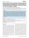 Fibrous Papule of the Face, Similar to Tuberous Sclerosis Complex-Associated Angiofibroma, Shows Activation of the Mammalian Target of Rapamycin Pathway: Evidence for a Novel Therapeutic Strategy?