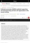 Follistatin Promotes LIN28B-Mediated Supporting Cell Reprogramming and Hair Cell Regeneration in the Murine Cochlea