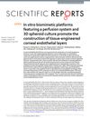 In Vitro Biomimetic Platforms Featuring a Perfusion System and 3D Spheroid Culture Promote the Construction of Tissue-Engineered Corneal Endothelial Layers