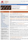 Mechanical Upper Bowel Obstruction Caused by a Large Trichobezoar in a Young Woman: A Very Unusual Case Report