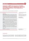 Comparison of MMP1 Gene Expression and Collagen Percentage in Response to Polydioxanone, Poly-L-Lactic Acid, and Polycaprolactone Thread Implantation in Aging Rat Skin