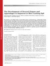 The Development of Several Organs and Appendages Is Impaired in Mice Lacking Sp6