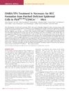 DMBA/TPA Treatment Is Necessary for Basal Cell Carcinoma Formation from Patched Deficient Epidermal Cells in Ptch Flox/Flox CD4Cre +/- Mice