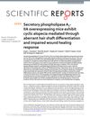 Secretory Phospholipase A2-IIA Overexpressing Mice Exhibit Cyclic Alopecia Mediated Through Aberrant Hair Shaft Differentiation and Impaired Wound Healing Response