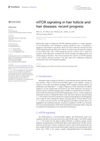 MTOR Signaling in Hair Follicle and Hair Diseases: Recent Progress