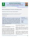 Effects and Mechanism of Nutrients on Root Hair Growth