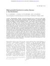 Male Gonadal Function in Coeliac Disease: Sex Hormones