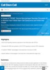 A Subset of TREM2+ Dermal Macrophages Secretes Oncostatin M to Maintain Hair Follicle Stem Cell Quiescence and Inhibit Hair Growth