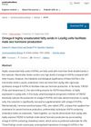 Omega-6 Highly Unsaturated Fatty Acids in Leydig Cells Facilitate Male Sex Hormone Production