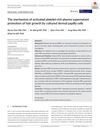 The Mechanism of Activated Platelet-Rich Plasma Supernatant Promotion of Hair Growth by Cultured Dermal Papilla Cells