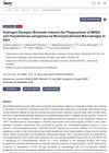 Androgen Receptor Blockade Induces the Phagocytosis of MRSA and Pseudomonas Aeruginosa by Monocyte-Derived Macrophages In Vitro