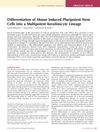 Differentiation of Mouse Induced Pluripotent Stem Cells into a Multipotent Keratinocyte Lineage