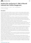 Analysis of the Mechanism of IL-36α in Wound-Induced Hair Follicle Neogenesis